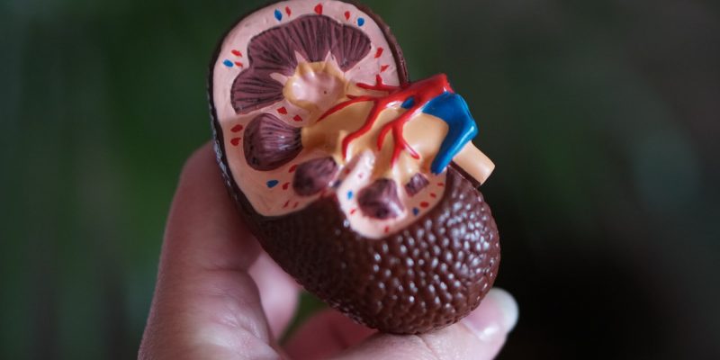 robina-weermeijer--szKjHyPq28-unsplash